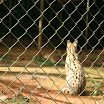 zoo 090.jpg