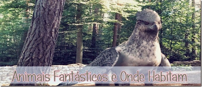 Animais Fantásticos e Onde Habitam