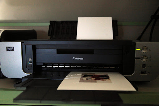 Great, Sharkey!  And now we'll print it out.  Doesn't it look nice on this glossy paper?