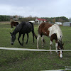dsc07056.jpg