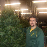 The Best Tree You Can Find at a Grocery Store