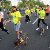 Pet Express Doggie Run 2012 Philippines. Jpg (76).JPG