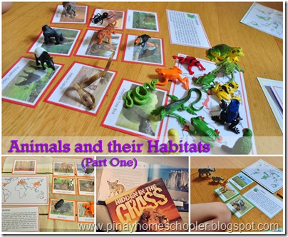 Animals and their Habitats (Part One)