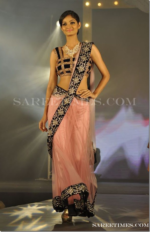 Tan_Designer_Saree
