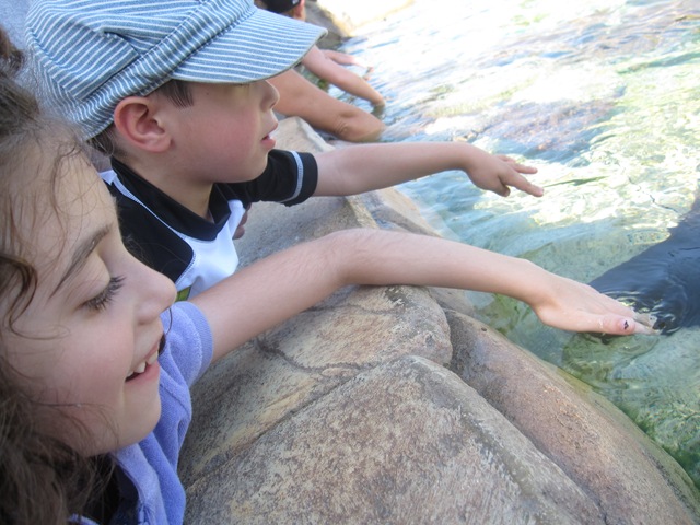 [IMG_7624%255B2%255D.jpg]