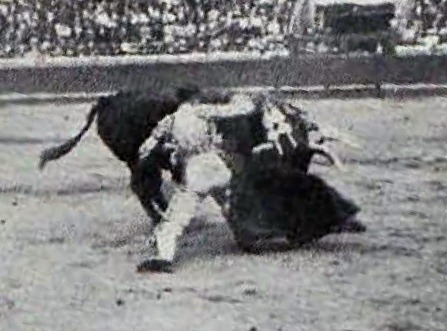 [1913-07-31-Joselito-Guadalest-Bilbao.jpg]