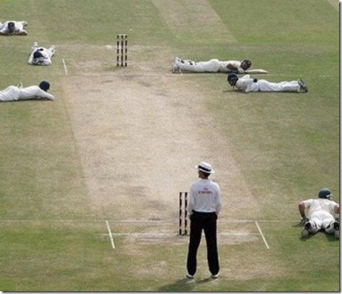 Funny-Cricket-Picture-4