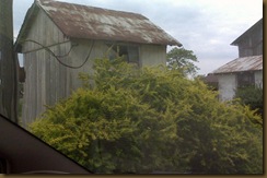 IMG00217 IMG00217