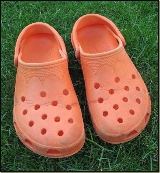 Crocs, after over four year's use