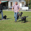 IMG_2950.JPG
