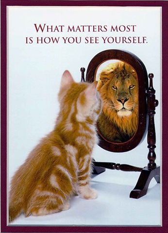 [mirror_cat_as_lion8.jpg]