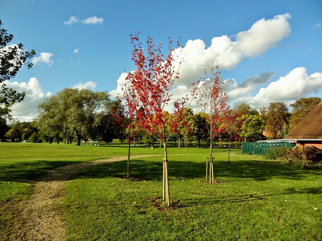 [DSC08794%2520%25281300x972%2529%255B4%255D.jpg]