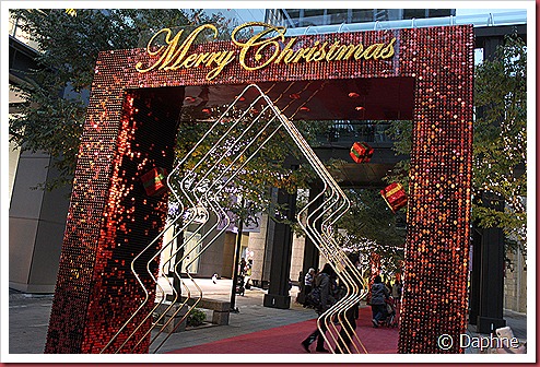 IMG_1536 IMG_1536