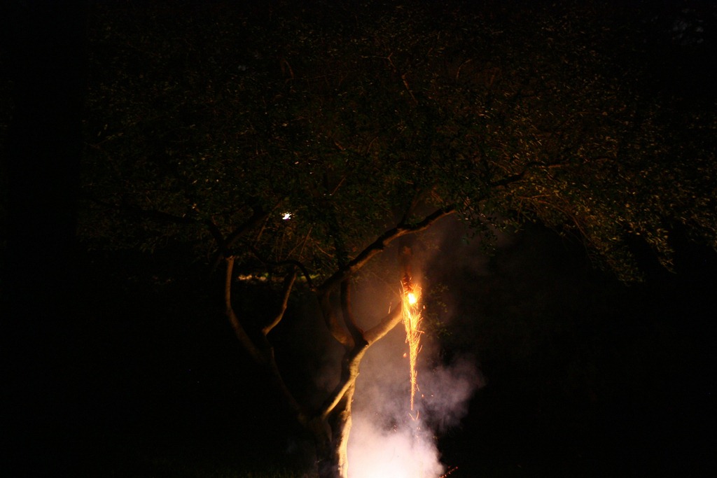 [Hodge-Boys-Fireworks-7-3-2012-8410.jpg]