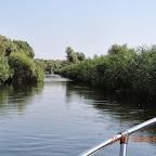 DSCN4599.JPG
