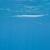 20090704_uw_561_045