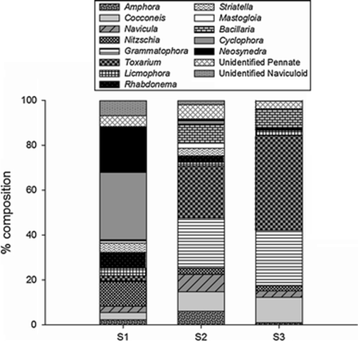 Relative composition of the periphytic diatom assemblages along the CO2 gradient. Between September 2009 and October 2010, mean surface seawater pH decreased with increasing proximity to CO2 vents (S1 = 8.18, S2 = 8.05, S3 = 7.49, n = 18). A significant difference in diatom abundance (mean % cover on slides) was detected between stations; greater values were recorded with increasing CO2 levels (Holm-Sidak pairwise comparisons, S3 > S2 > S1, P < 0.001). Johnson, et al., 2011