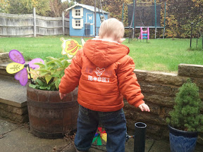 2011-11-12 12.09.45.jpg
