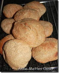 IMG_2027 IMG_2027