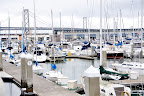 DSC_0242.JPG