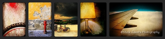 [int-color-awards-images-by-silvia-ganora-2011-640x154%255B6%255D.jpg]