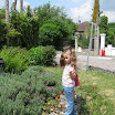 IMG_3214.JPG