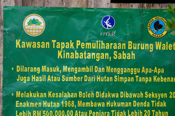 Pancarte au début du chemin de Pangui. Sukau (Sabah), 7 août 2011. Photo : J.-M. Gayman