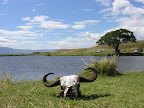 DSCN6917.JPG
