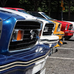 IMG_3250.JPG