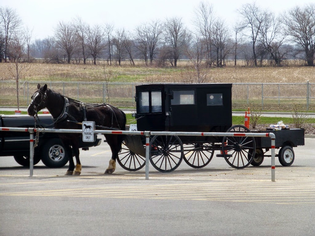 [Amish-Buggy-12.jpg]