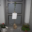 SDC12525.JPG