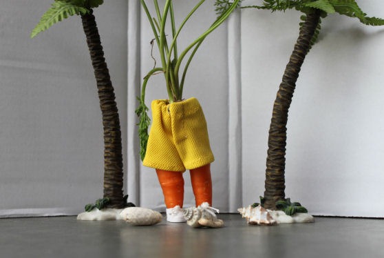 [carrotresized3.jpg]