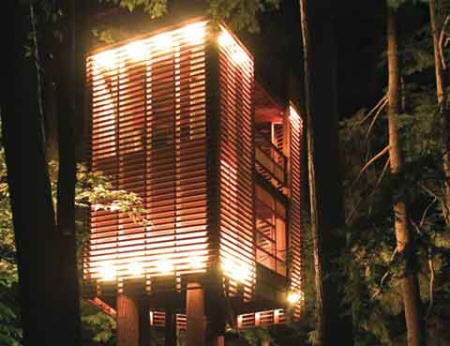 Amazing Tree Houses