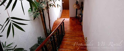 casa-siete-arboles-en-el-pueblo-08.jpg casa-siete-arboles-en-el-pueblo-08.jpg