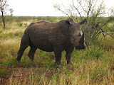 South Africa - 155.JPG
