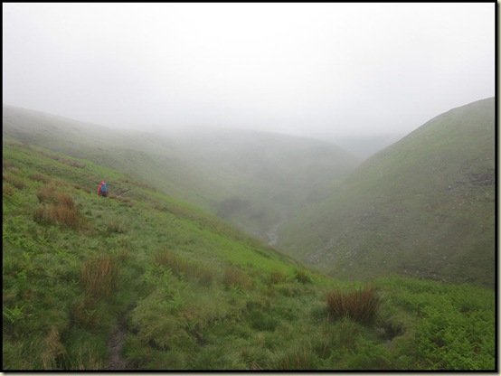 Alport Dale on a wet day