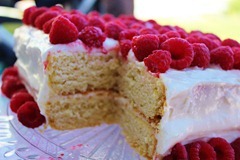 IMG_2376 IMG_2376