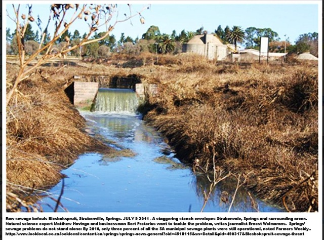 [WATERPOLLUTION%2520SPRINGS%2520BLESBOKSPRUIT%2520STRUBENVILLE%2520JULY92011%255B11%255D.jpg]