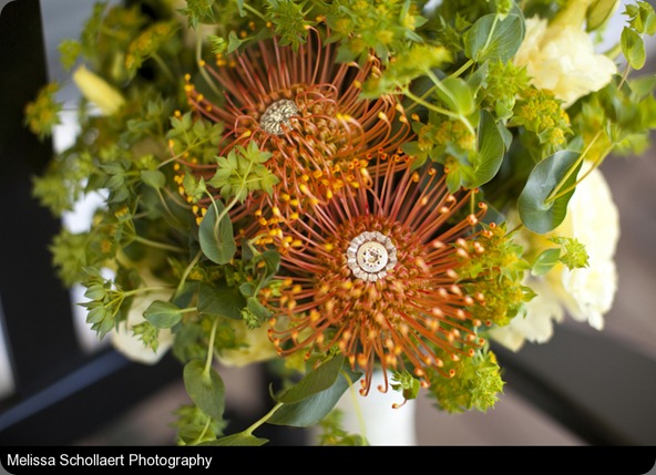 Doe_Doe_Melissa_Schollaert_Photography_IMG9548_low birch blooms