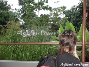 Hong kong Adventureland 20 Hong kong Adventureland 20