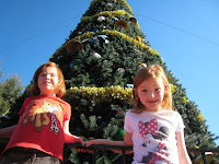 IMG_5424.JPG