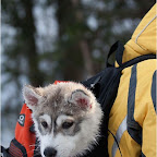 2011-snejinka-51.jpg