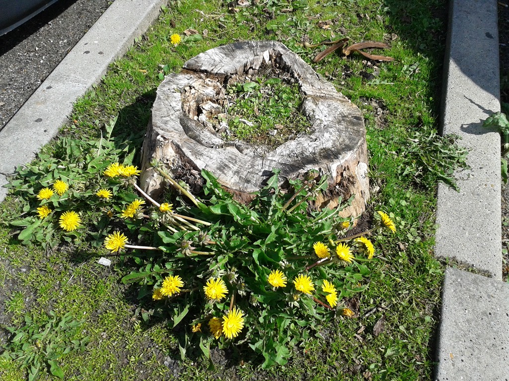 [20130514_105347%255B4%255D.jpg]