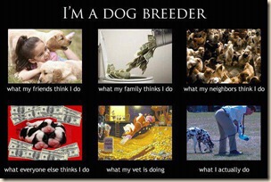 I'm a dog breeder