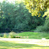 Looking out over the large pond.