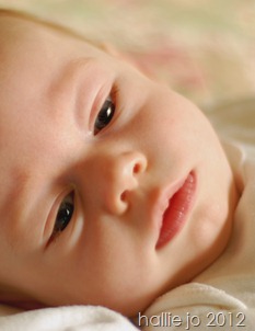 Baby17 Baby17