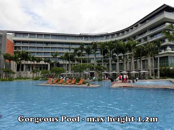 W Hotel Singapore Pool 2