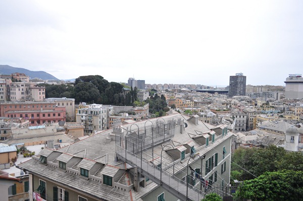 DSC_1313 DSC_1313