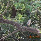 DSCN8347.JPG