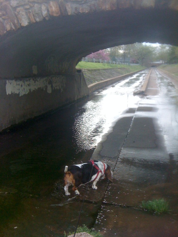 [IMG_1109%255B12%255D.jpg]
